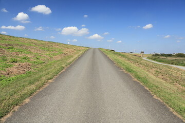 江戸川の土手と青空と雲を見上げる　三郷市