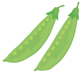 さやえんどう 緑黄色野菜 ベクター素材