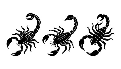 Set Of  Scorpion Silhouette Vector Illustration on white background