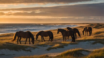 Fototapeta premium Dune Dreams: A Tranquil Sunset with Wild Horses on Sable Island