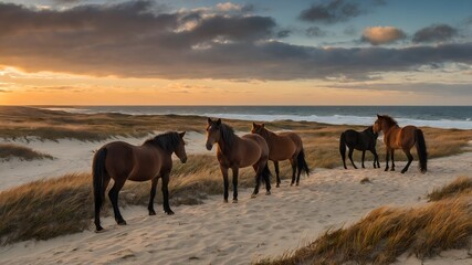 Obraz premium Serene Horizons: Sunset Dunes and Free-Roaming Horses of Sable Island