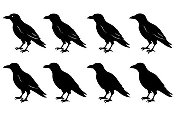 set of Crow Silhouette vector illustration