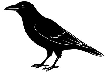 Crow Silhouette vector illustration