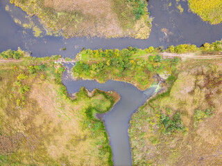 Colorful autumn forest with trees on the shore of a blue lake - top aerial view.