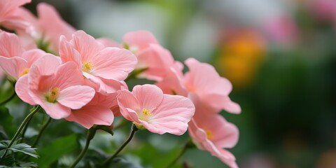Fototapeta premium A cluster of soft pink flowers set against a vibrant green backdrop, embodying the beauty of nature in full bloom and evoking feelings of joy and serenity.