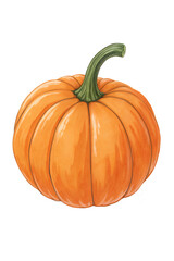Obraz premium A big size pumpkin without any background
