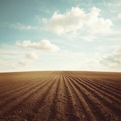 Plowed Field Under a Cloudy Sky: A Promise of New Growth