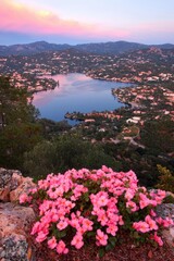 A scenic view of a lake surrounded by homes and hills, adorned with vibrant pink flowers in the foreground, showcasing a serene sunset atmosphere.