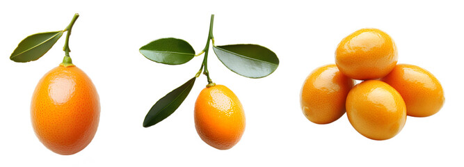 Obraz premium Fresh Kumquat Fruits Isolated on a White Background, Cut Out, Transparent PNG