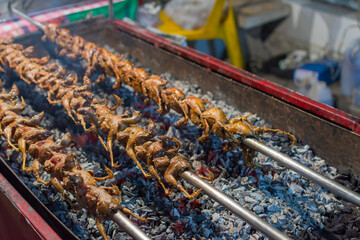 Partridge or quail grilled