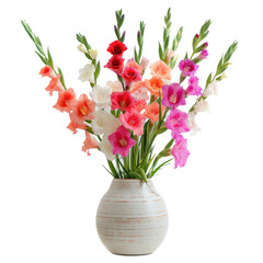 Obraz premium fresh gladiolus bouqet flowers on ceramic vase isolated on white or transparency background