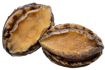 Fresh Abalones or Awabi isolated on white background, Fresh Awabi Abalones white background PNG File.