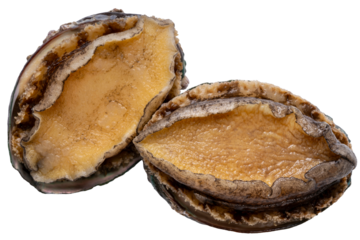 Fresh Abalones or Awabi isolated on white background, Fresh Awabi Abalones white background PNG File.