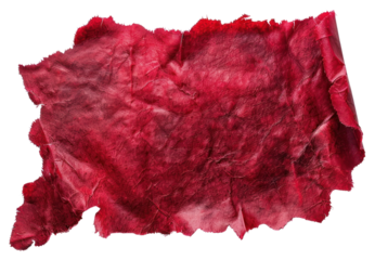 PNG Photo of realistic blooodscratch red clothing textured.