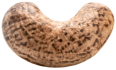 Roasted Cashew nut in shell isolated on white background. Roasted Cashew nuts isolated on white background PNG File.