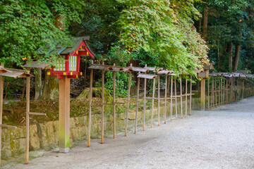 青もみじと御神燈　灯籠　参道　石上神宮