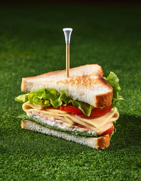 Naklejki A delicious sandwich secured with a golf tee sits on green artificial turf for lunch