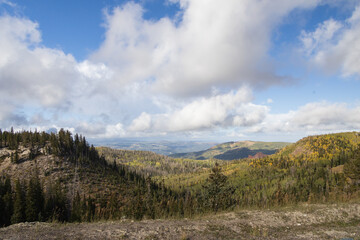 Obraz premium Dixie National Forest autumn landscape, Utah