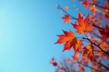 Crimson, orange, yellow leaves against clear azure sky, bare branches, sharp, texture
