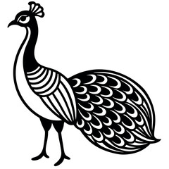 A peacock vector illustration.