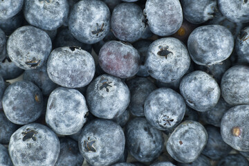 Up close, a bountiful heap of blueberries showcases their dusty, fresh texture and vibrant color.