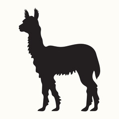 Fototapeta premium Alpaca Silhouette, Pasture