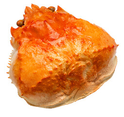 Crab meat with cheese in a crab shell isolated on white background, Fresh Cheesy Crab Casserole on white background PNG File.
