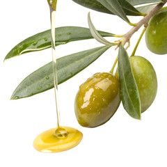 Obraz premium Fresh Olive Oil Pouring from Branch with Green Olives: High-Quality Extra Virgin Olive Oil Image