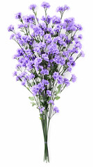 Naklejka premium Isolated Purple Floral Arrangement on White Background Photo