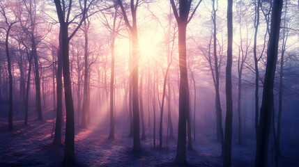 Fototapeta premium Misty Forest Sunset Illustration With Purple And Orange Colors And