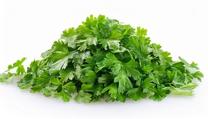 Fototapeta premium Fresh Parsley
