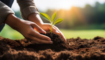 Close-Up of Hands Planting a Green
Seedling in Soil