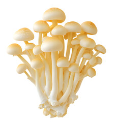 High-Resolution Golden Enoki Mushroom - PNG