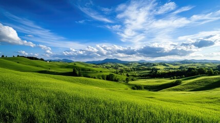 Fototapeta premium A tranquil countryside with rolling green hills and blue skies.