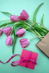 Mother day gift. Tulip flower bunch on pastel green. Fresh pink flowers bouquet. Spring, women day