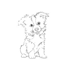 dog design vector