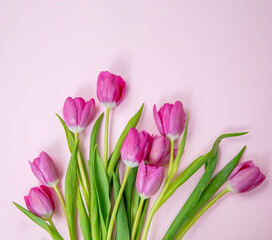 Tulip flower bunch isolated on pink, Fresh flowers bouquet. Mother day. Spring, women day