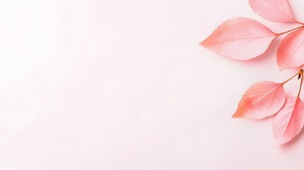 Delicate Pink Leaves on Soft Blush Background for Minimalist Nature Aesthetic and Seasonal Inspiration