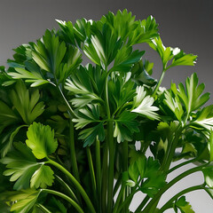 lily of the valley in the garden