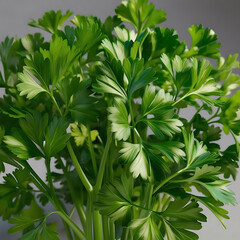 bunch of parsley