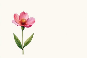 Single watercolor boho flower, olive green stem, white background, olive, art