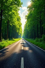 Fototapeta premium Sun-dappled asphalt road cuts through lush green forest, scenic clouds , woods, environment, travel