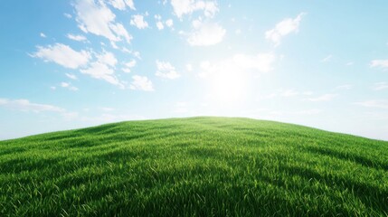 Obraz premium Sunny green hill landscape, idyllic pasture, bright sky, nature background, website banner