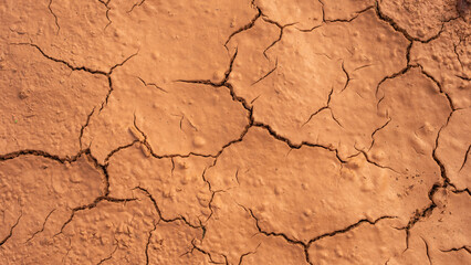 cracked, dry earth with an intricate network of deep fissures. The parched soil has a rich, earthy tone, showcasing the effects of drought, climate change, and extreme environmental conditions.