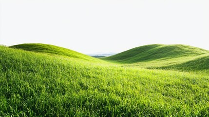 Obraz premium Lush Green Rolling Hills Under Bright Clear Sky in Springtime Landscape