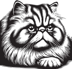 Persian cat vector in black and white