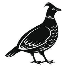 Wildlife Silhouette Ruffed Grouse Bird in Profile