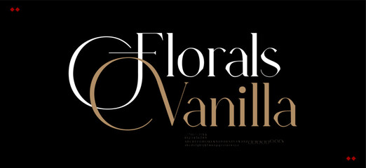 Luxury beauty font alphabet logo. Typography grand beautiful fashion elegant classic letters serif italic fonts wedding vintage retro logos. vector illustration