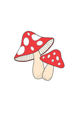 Mashroom