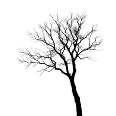 Obraz premium Minimalist Lone Tree Silhouette Against Bright White Background